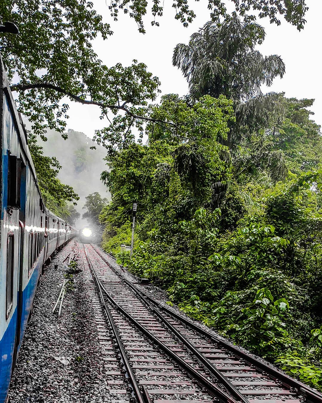 158797642_181496806865611_4702548079658594827_n