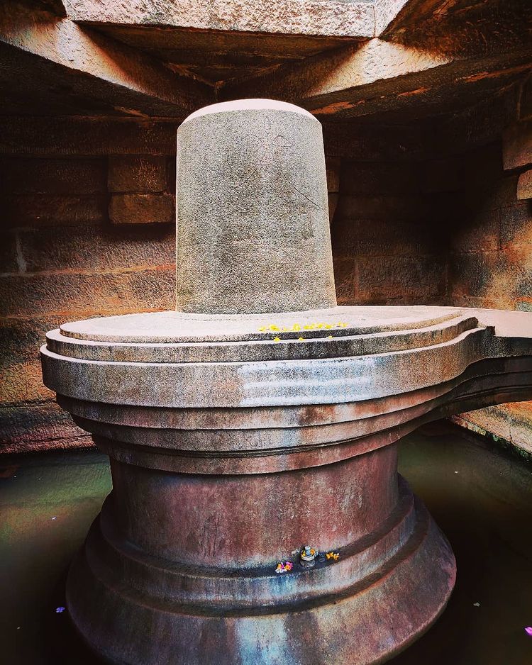 231512728_149535100645199_2946116162802462595_n (1)